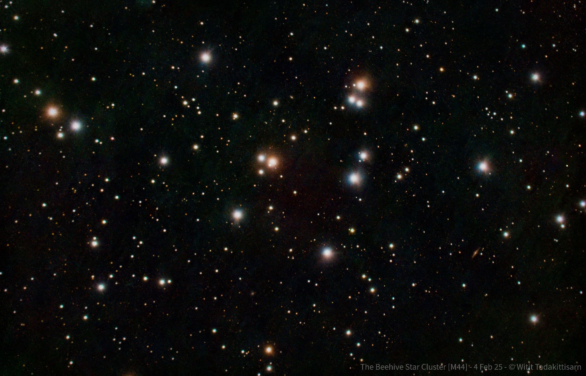 Beehive Cluster